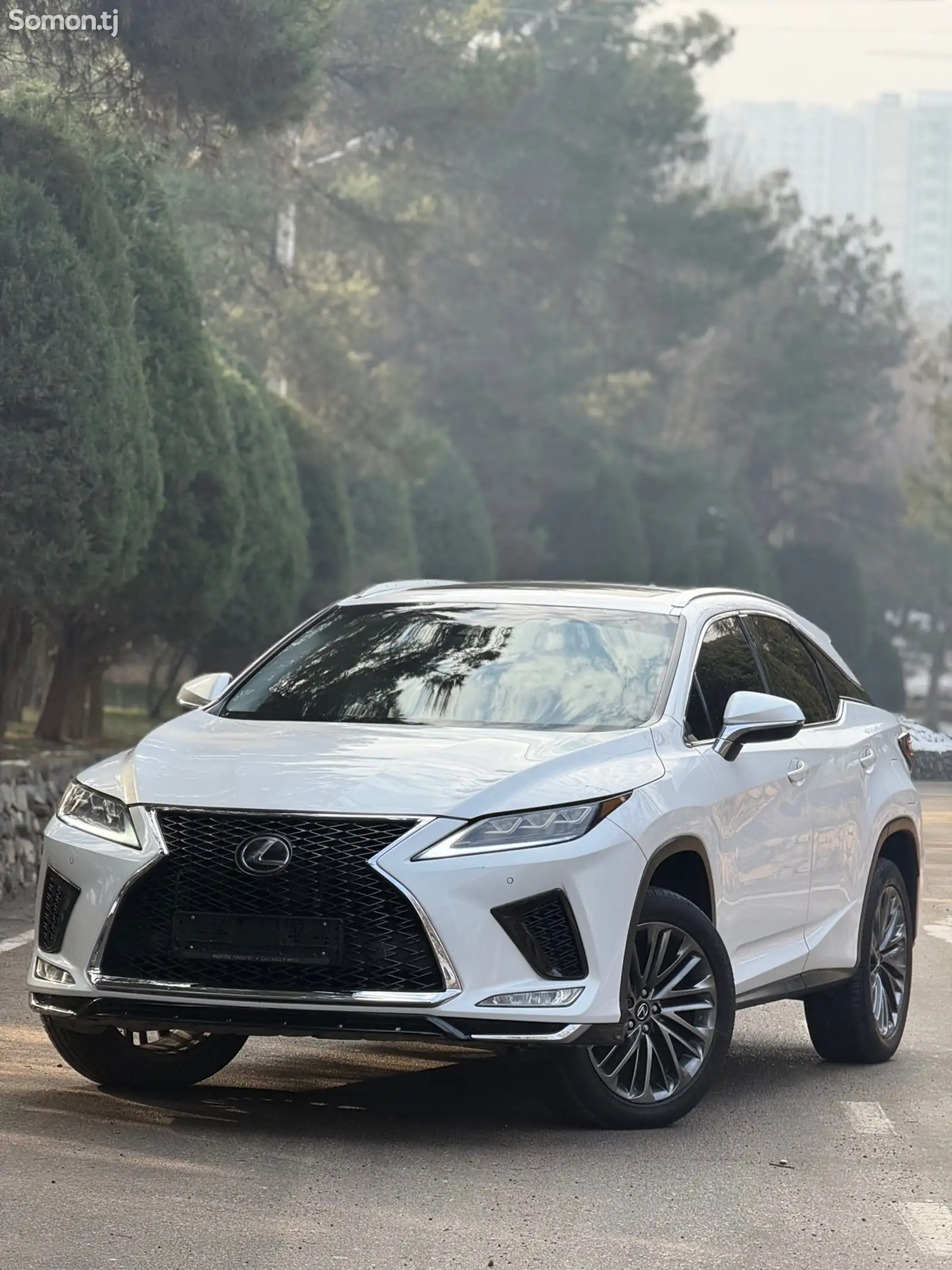 Lexus RX series, 2017-1