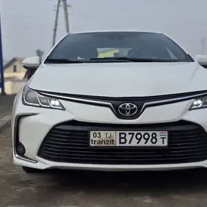 Toyota Corolla, 2019