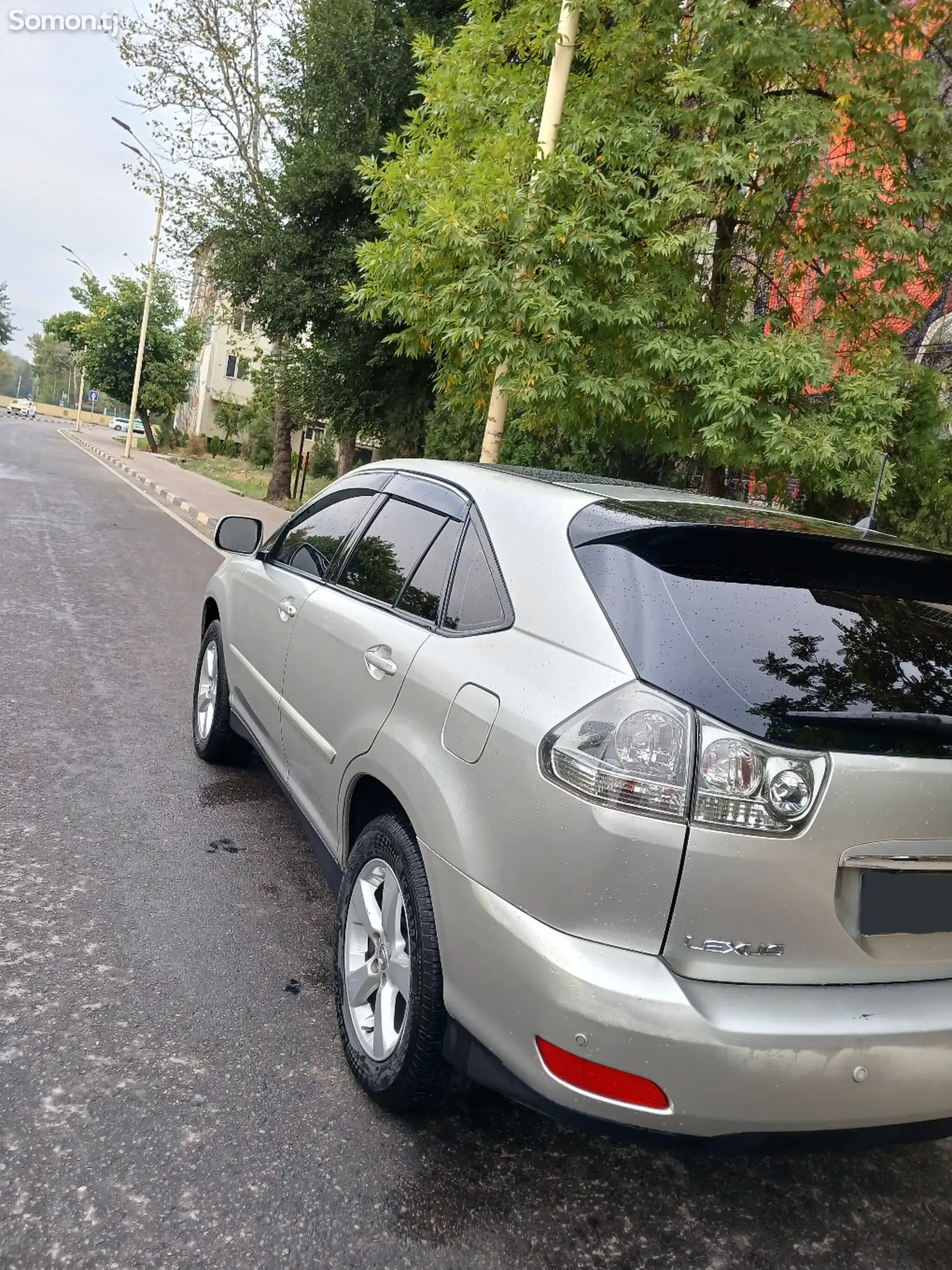 Lexus RX series, 2006-4