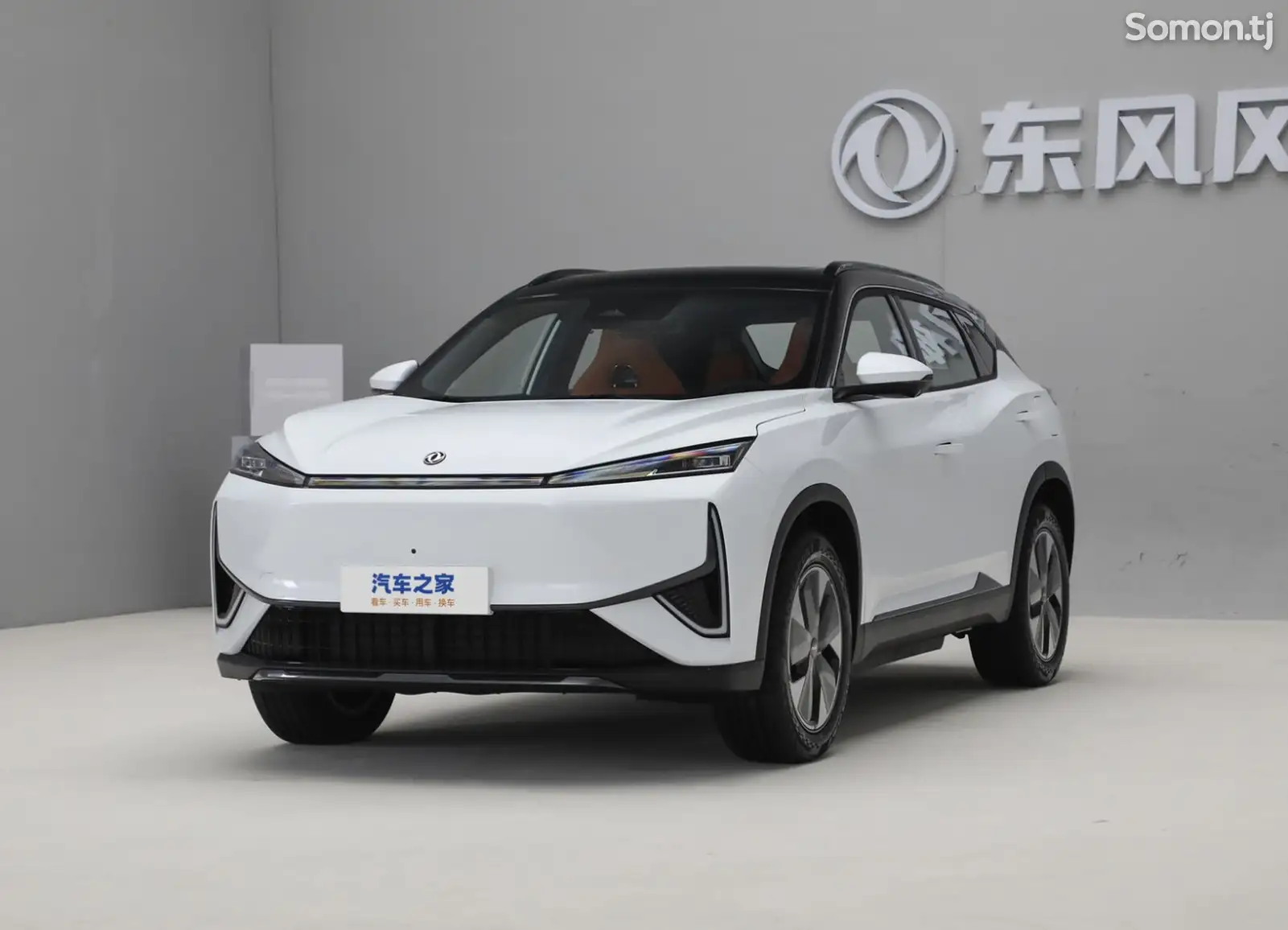 Dongfeng Landian E5, 2024-1