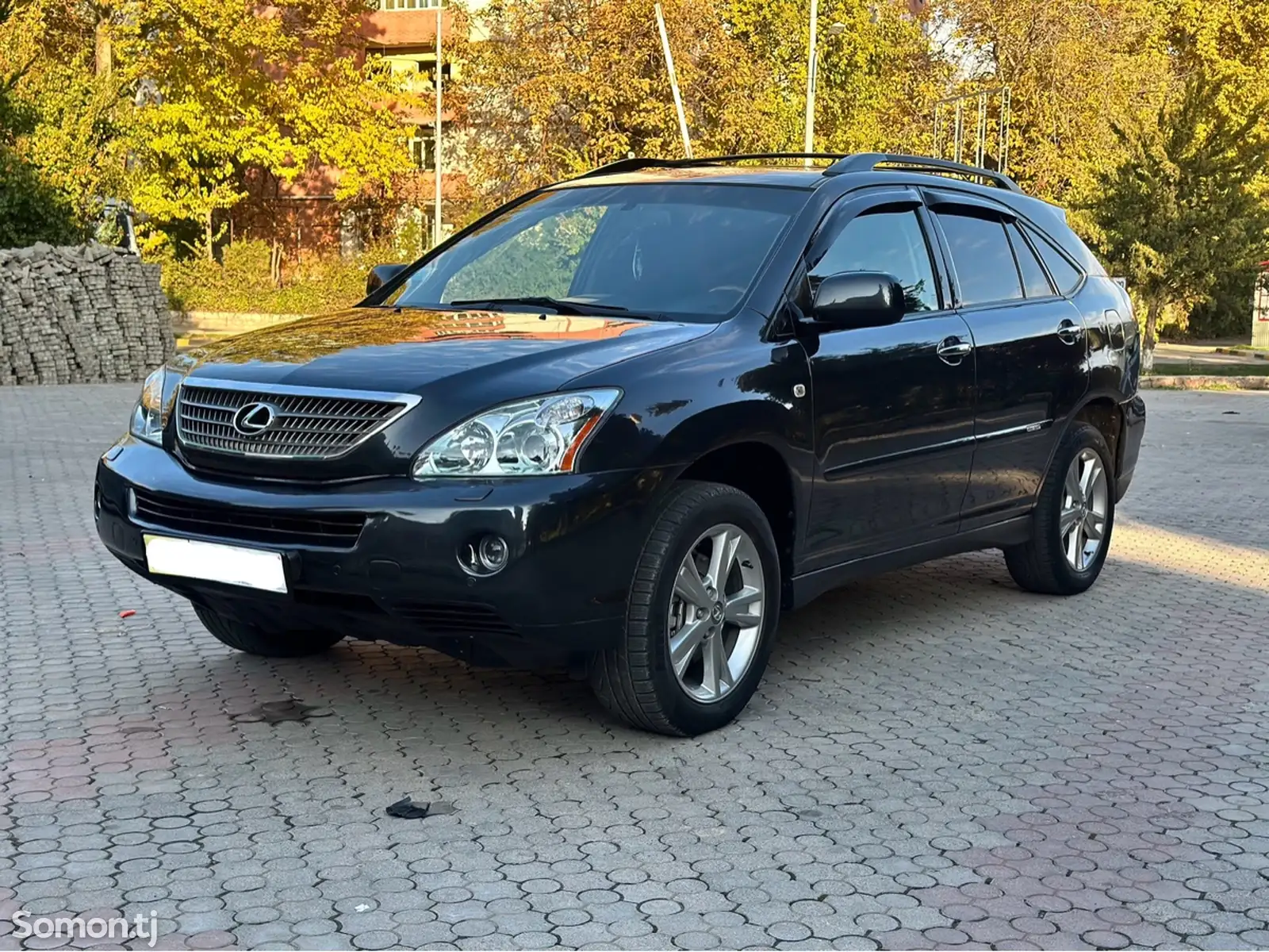 Lexus RX series, 2009-1