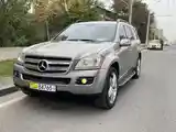 Mercedes-Benz GL class, 2008-8