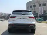 Zotye T600, 2018-8