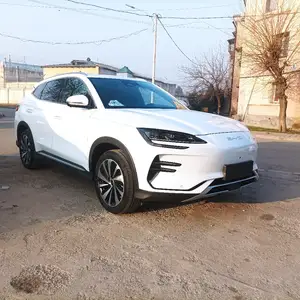 BYD Song Plus Flagship, 2024