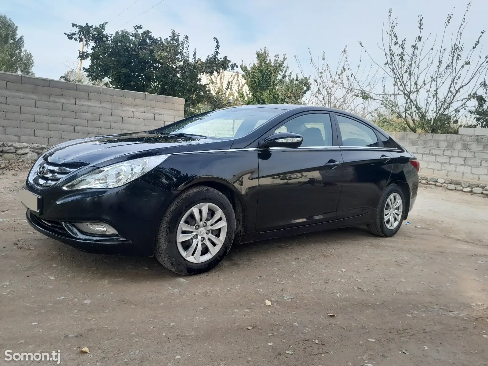 Hyundai Sonata, 2010-6