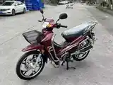 Утка GLX-SUZUKI-125cc куба-3