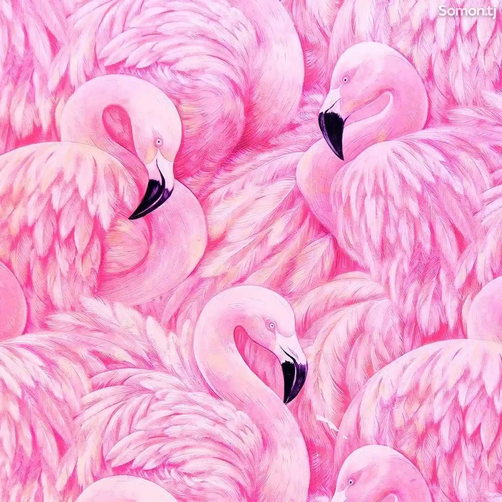 Обои Розовое фламинго-3