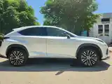 Lexus NX series, 2017-6