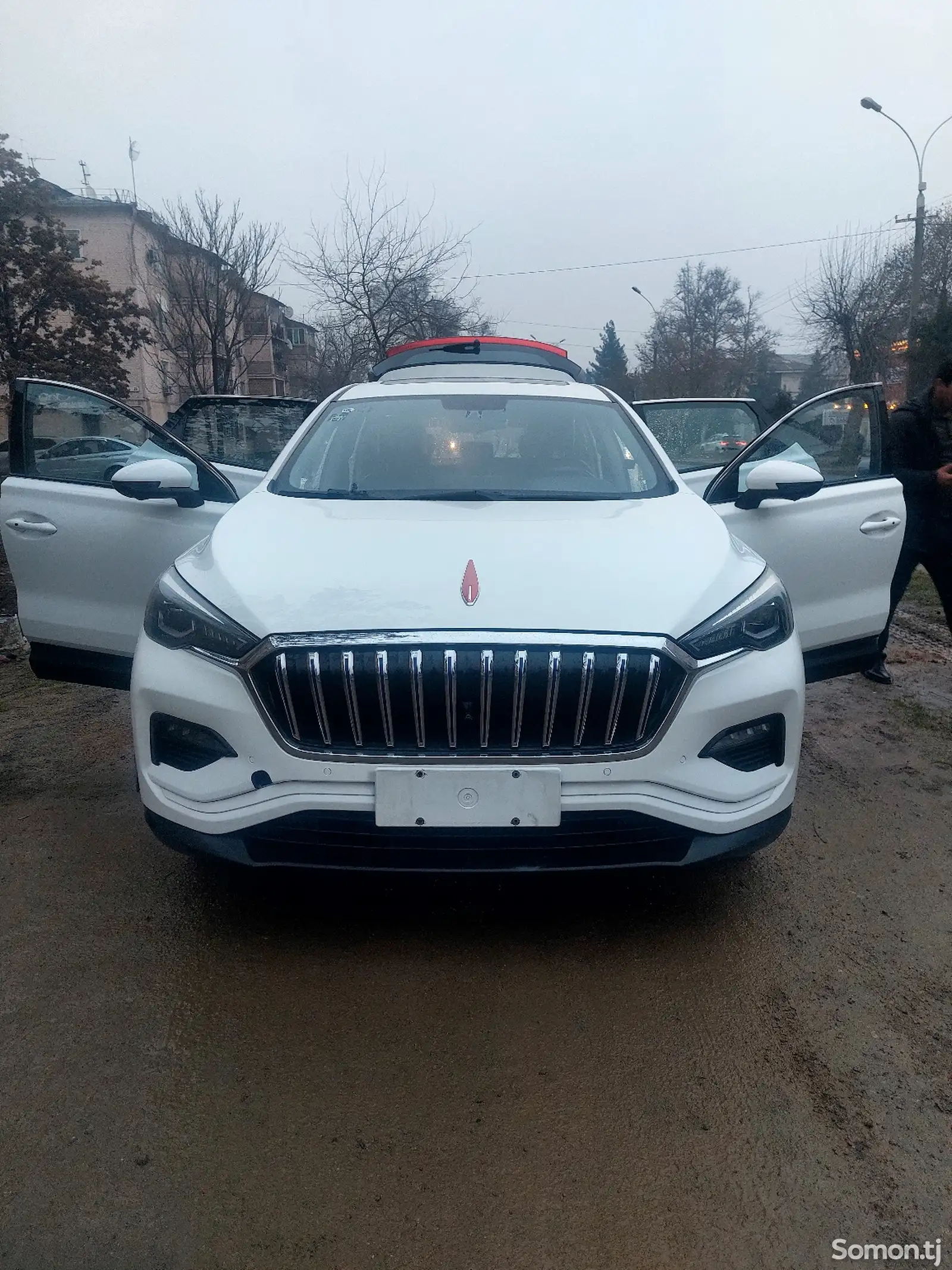 Hongqi E-QM5, 2019-1