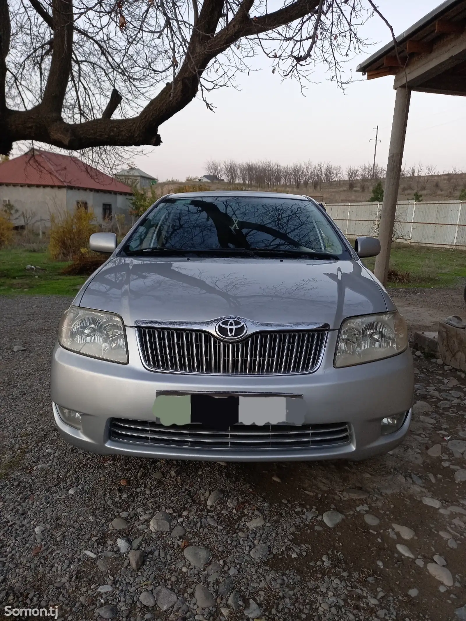 Toyota Corolla, 2006-1