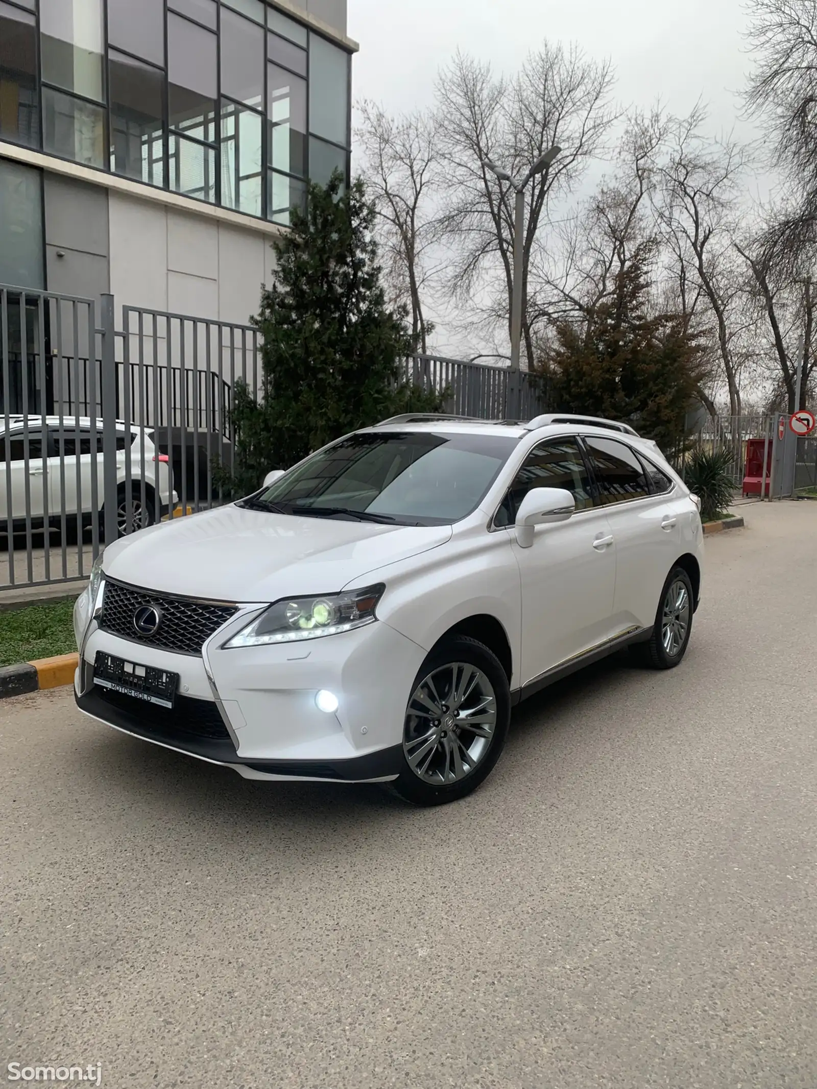 Lexus RX series, 2010-1