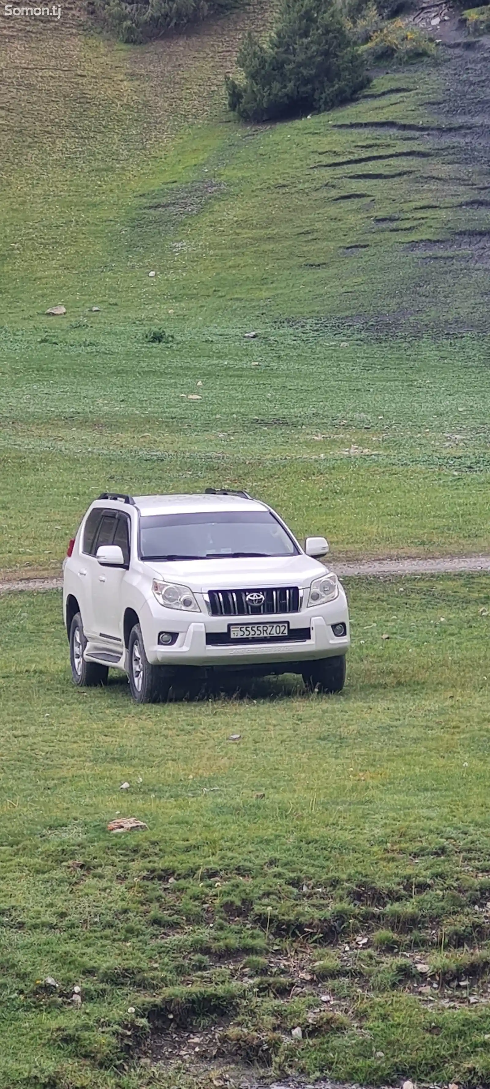 Toyota Land Cruiser Prado, 2011-1