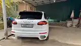 Porsche Cayenne, 2017-8