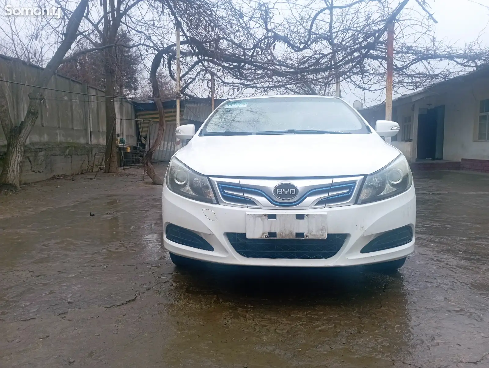 BYD E2, 2019-1