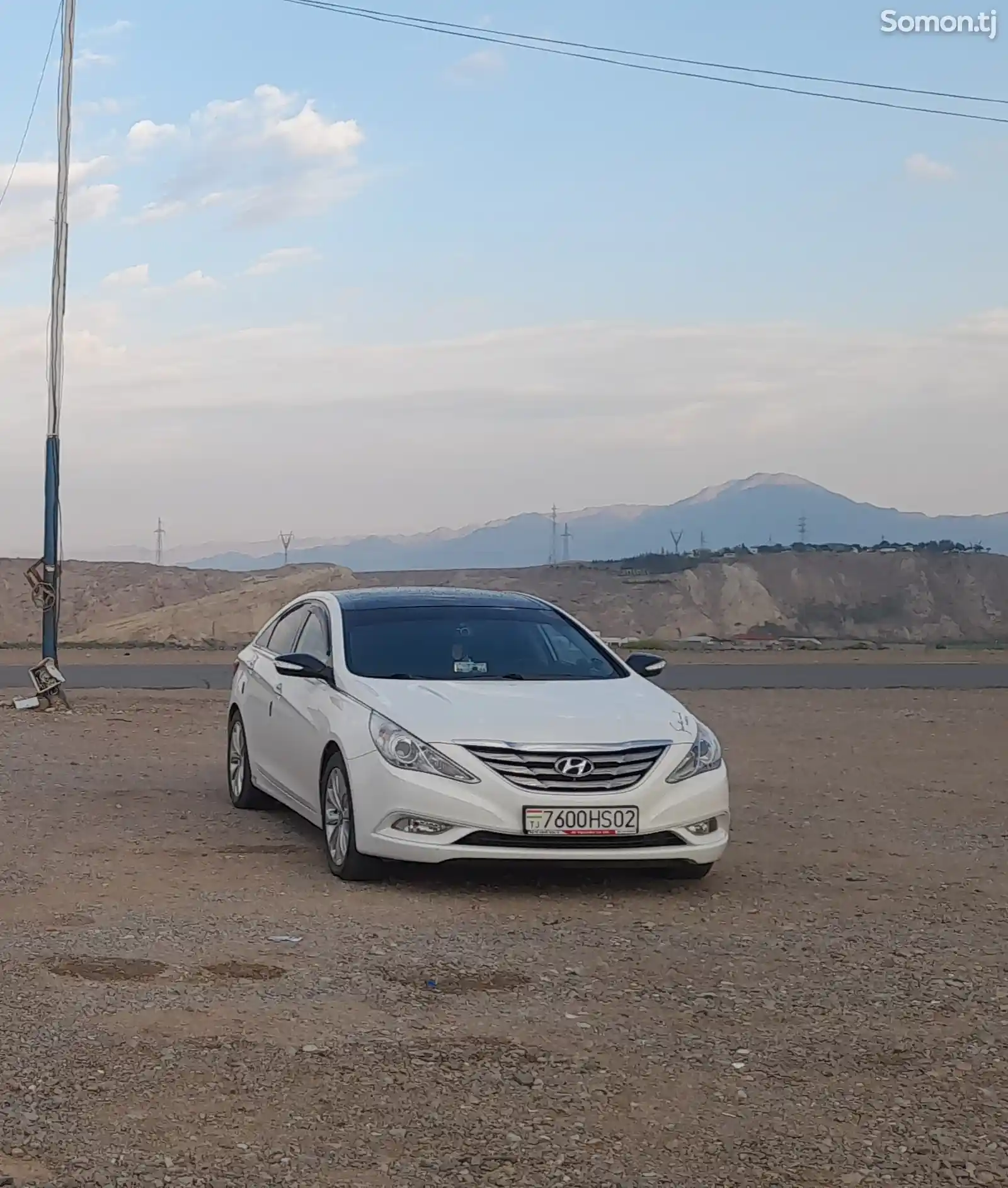 Hyundai Sonata, 2010-1