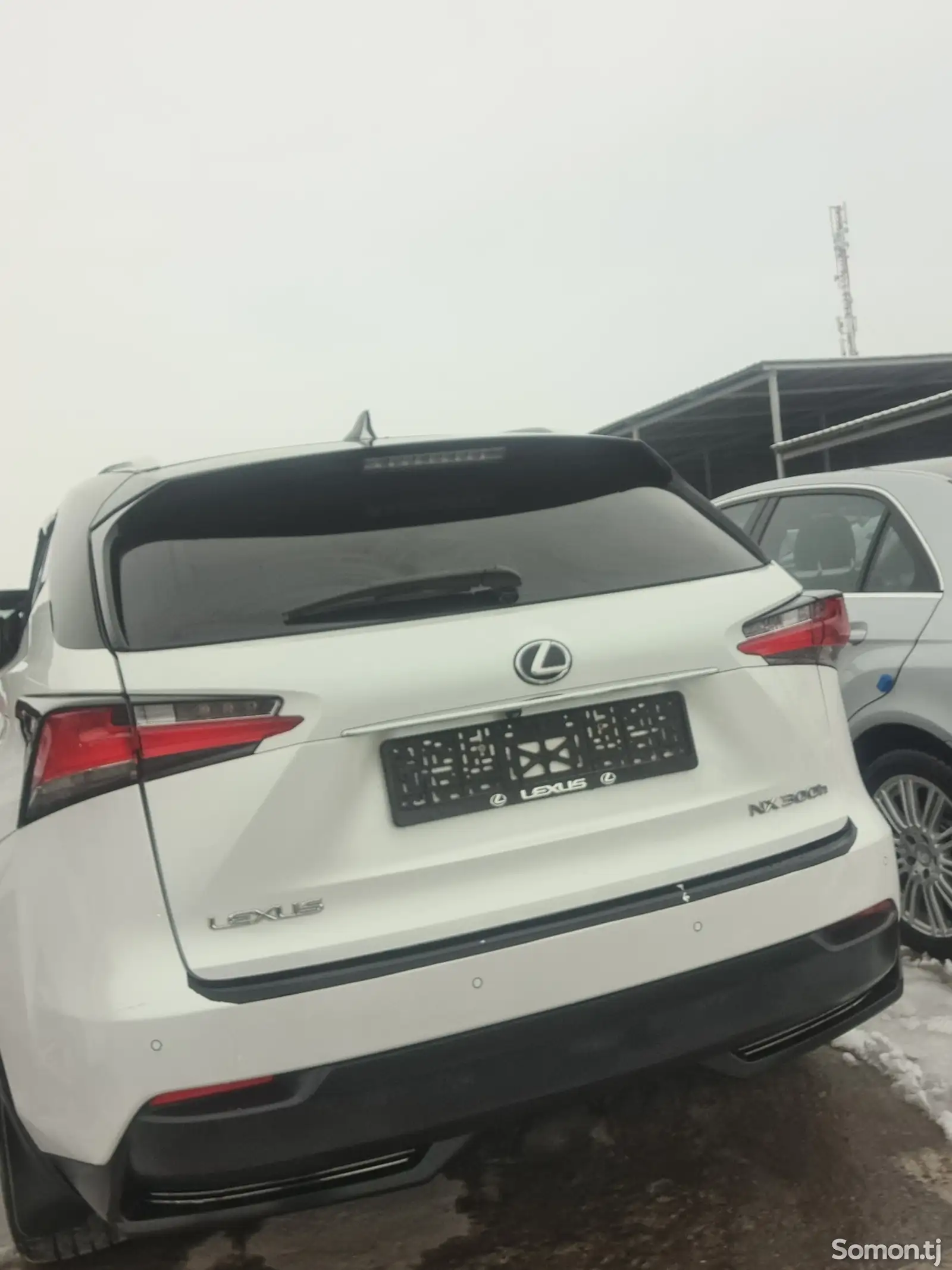 Lexus NX series, 2018-1