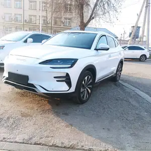 BYD Song Plus, 2023