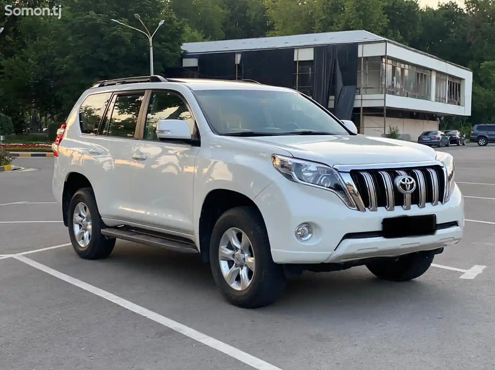 Toyota Land Cruiser Prado, 2011-5