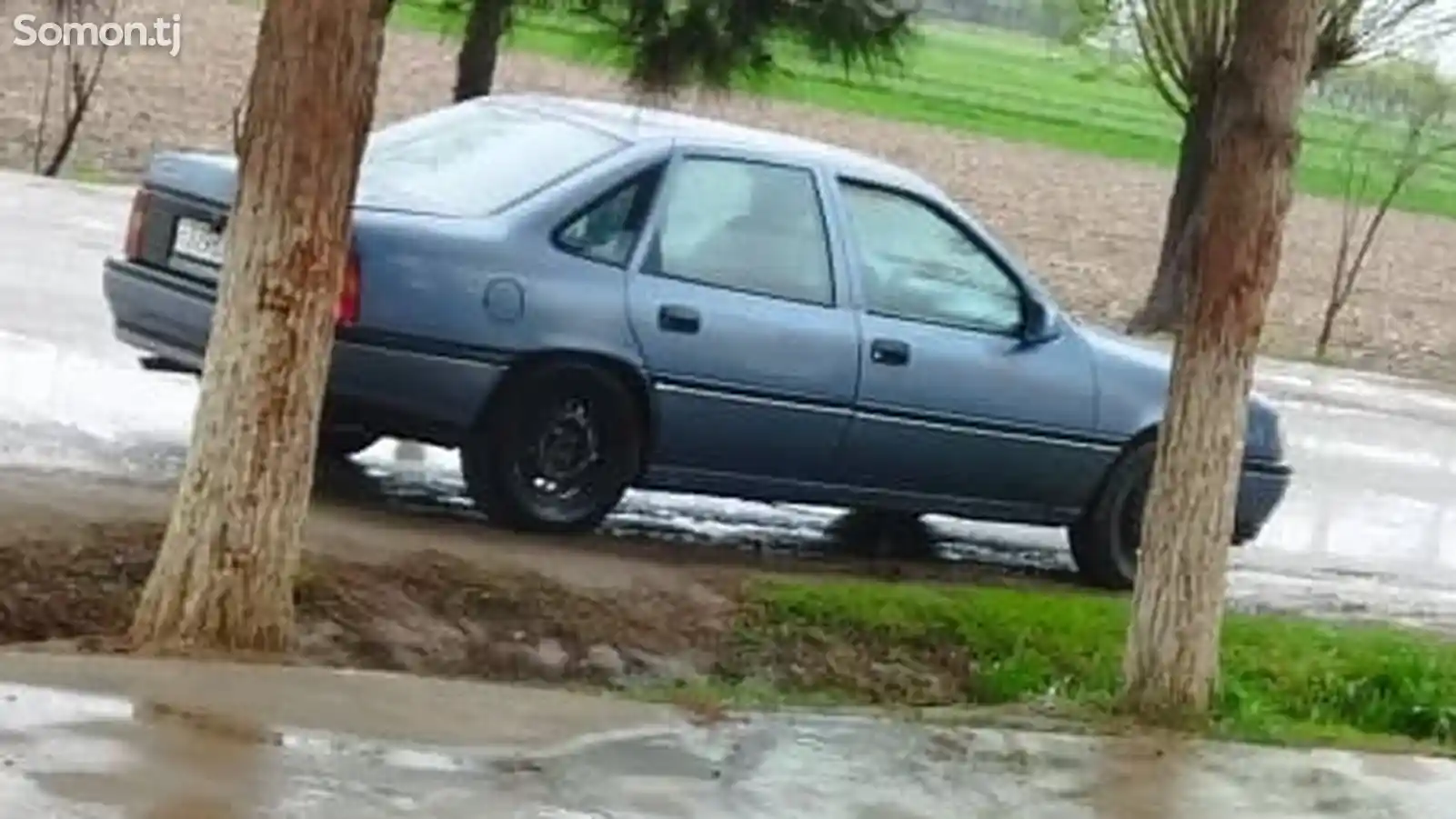 Opel Vectra B, 1992-1