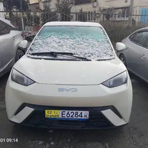 BYD Seagull, 2024