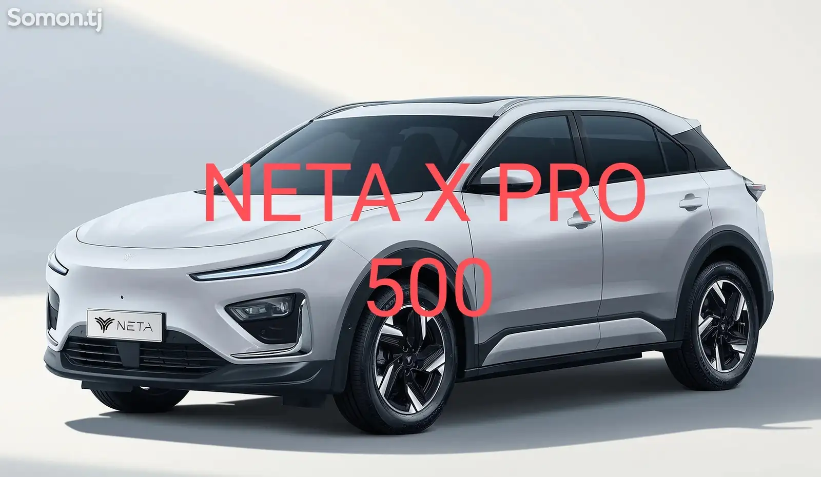 Neta X, 2024-1