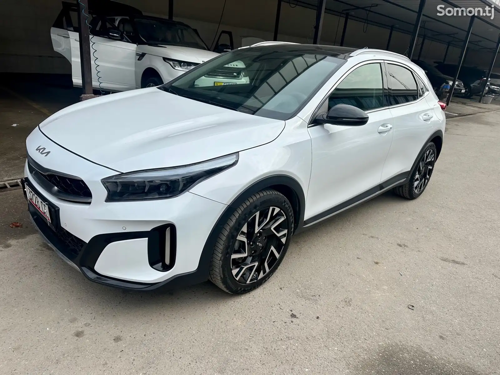 Kia Ceed, 2024-1