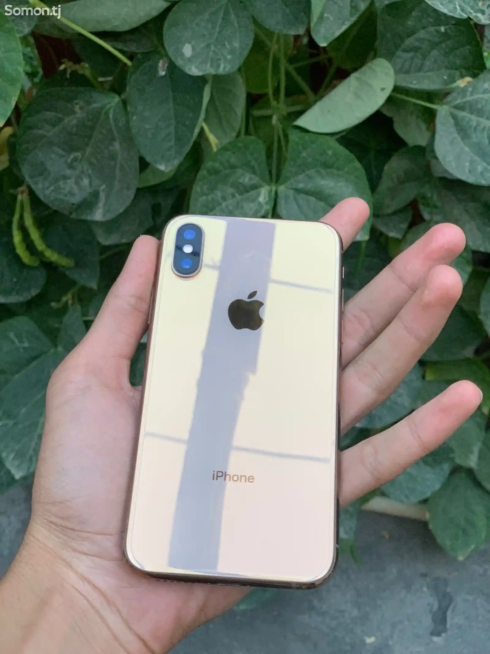 Apple iPhone Xs, 64 gb, Gold-4