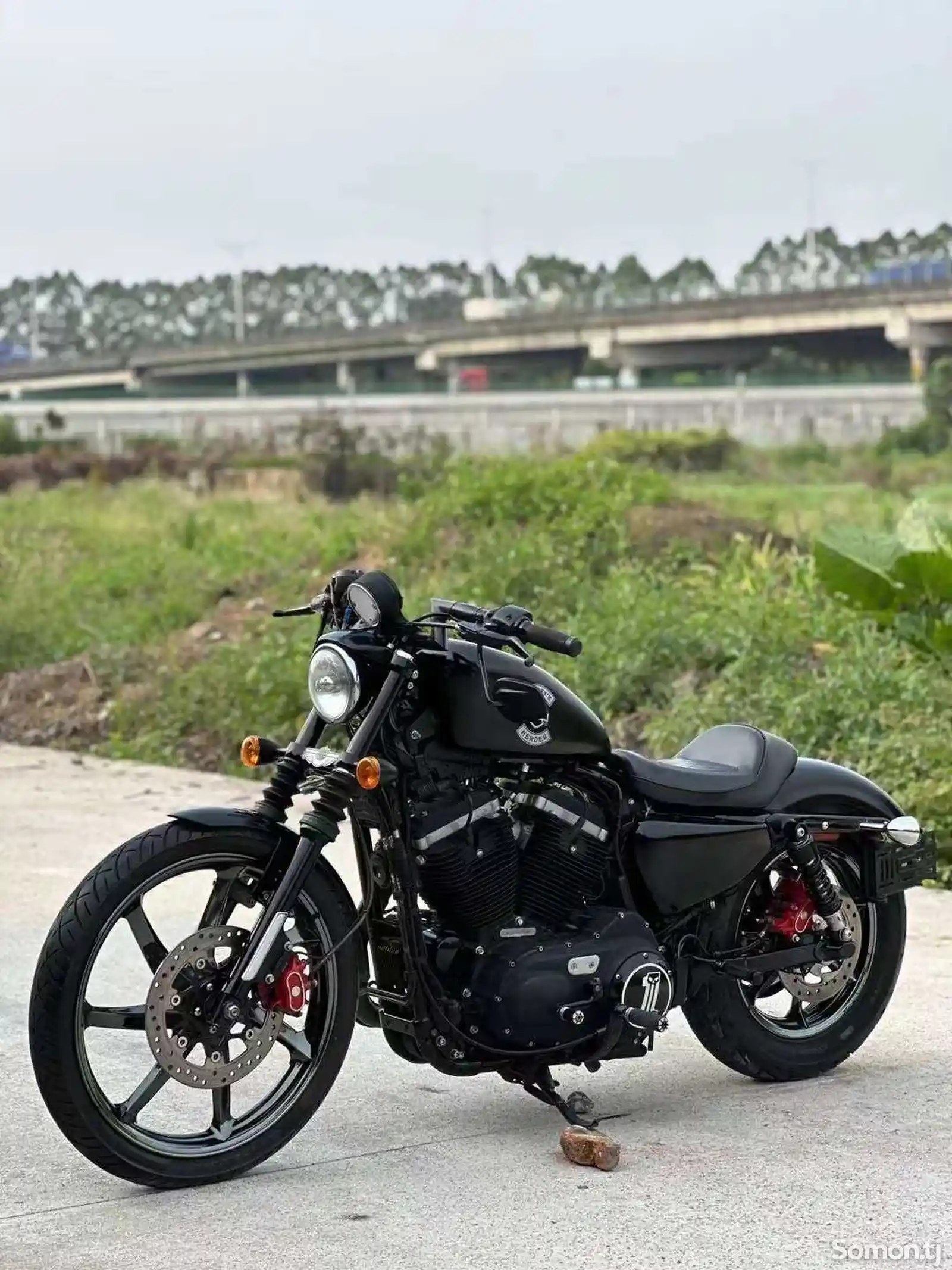 Мотоцикл Harley Davidson 883N на заказ-2