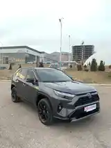 Toyota RAV 4, 2024-2