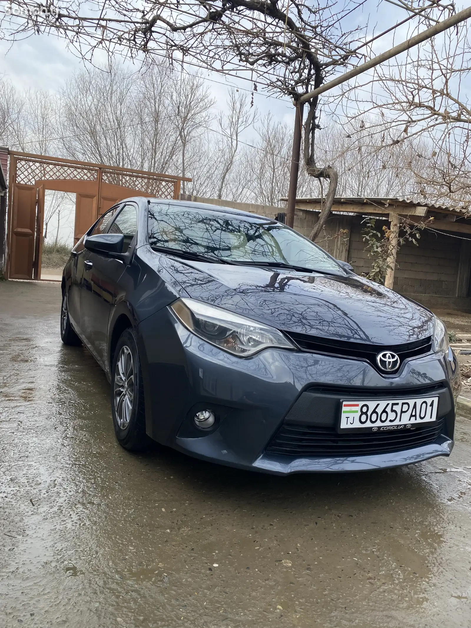 Toyota Corolla, 2015-1