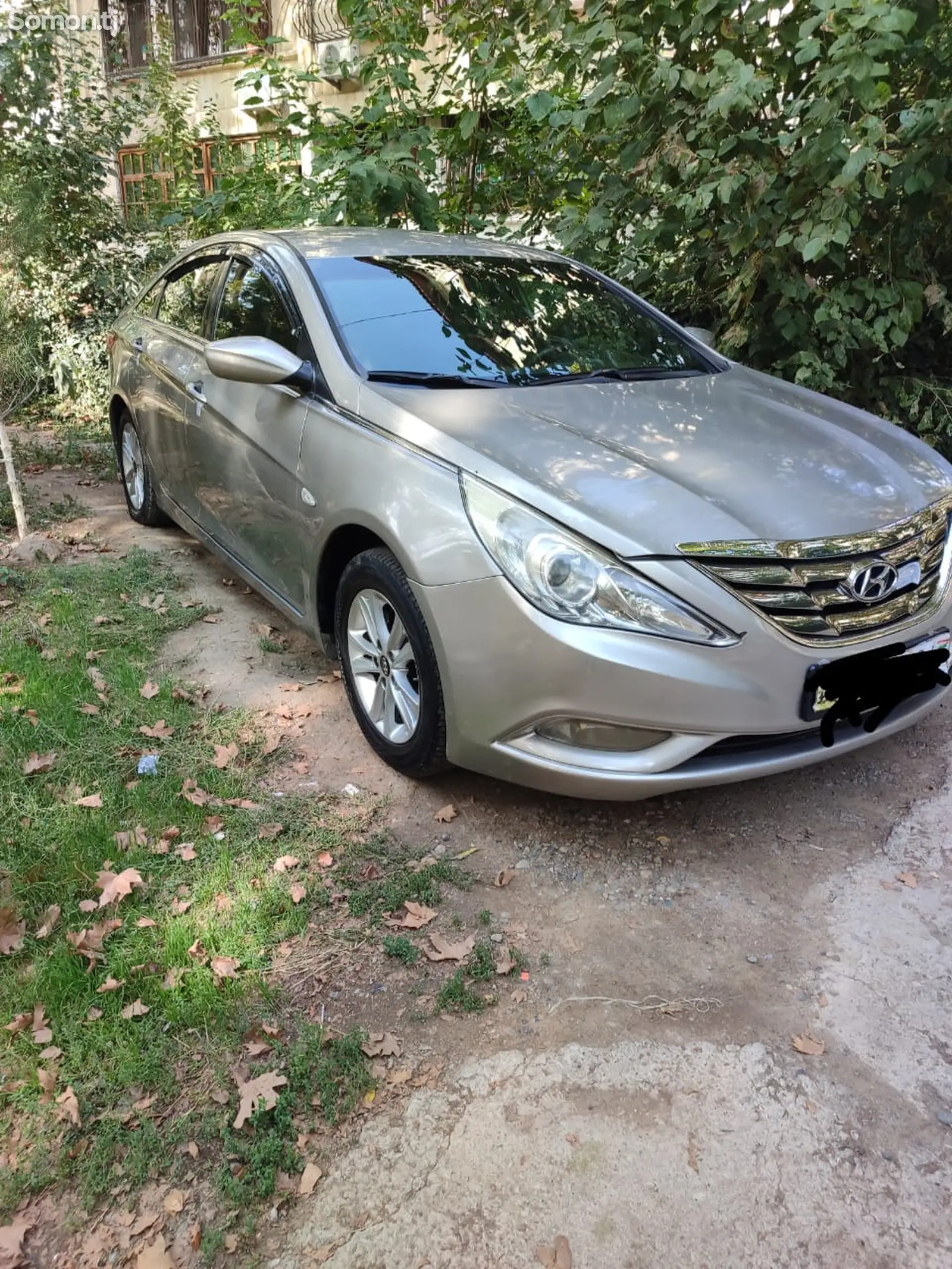 Hyundai Sonata, 2010-1