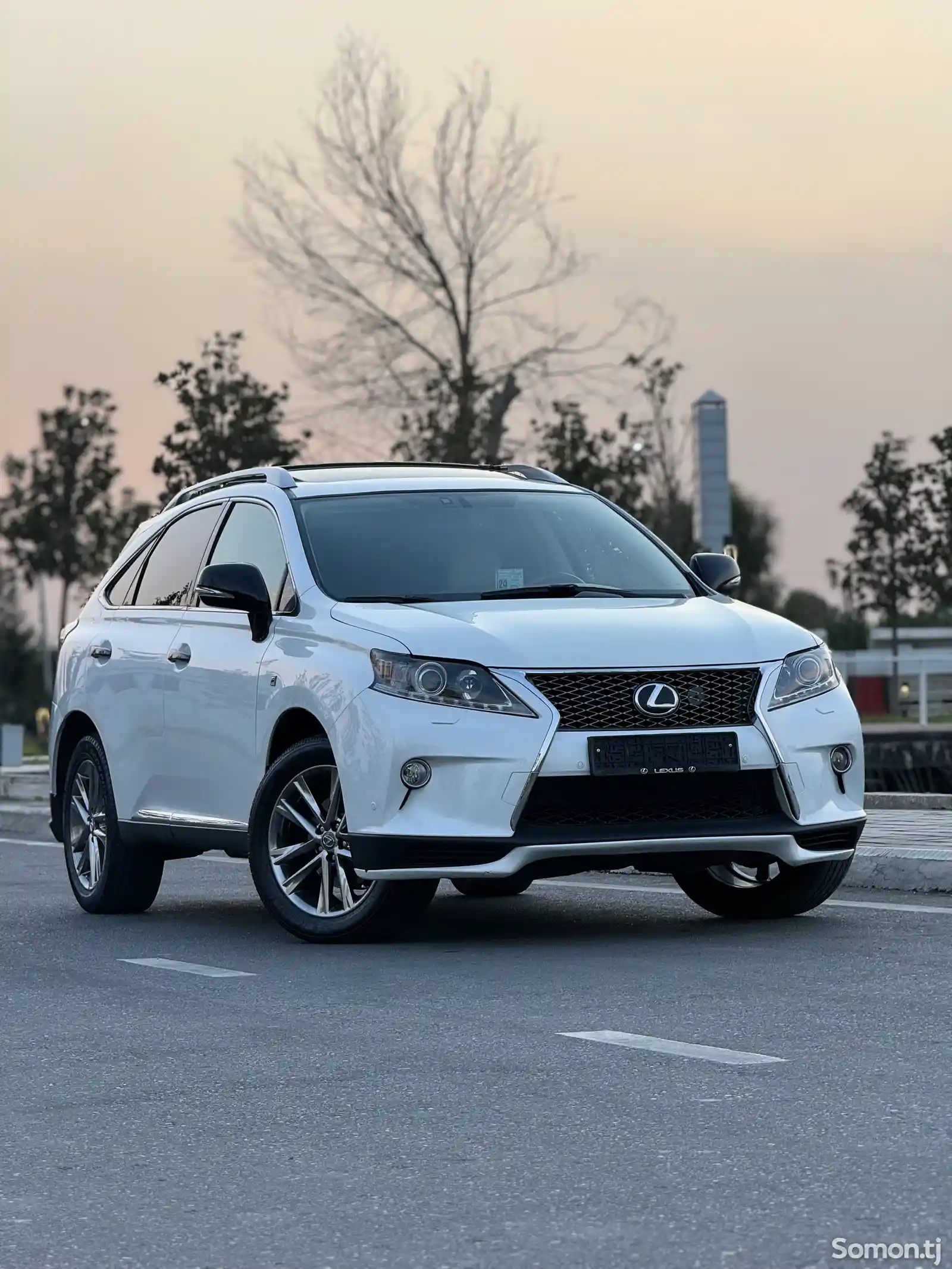 Lexus RX series, 2010-2