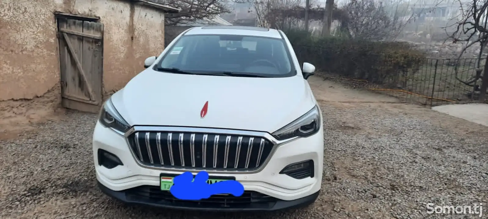 Hongqi E-HS3, 2019-1