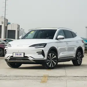 BYD Song Plus Flagship, 2024