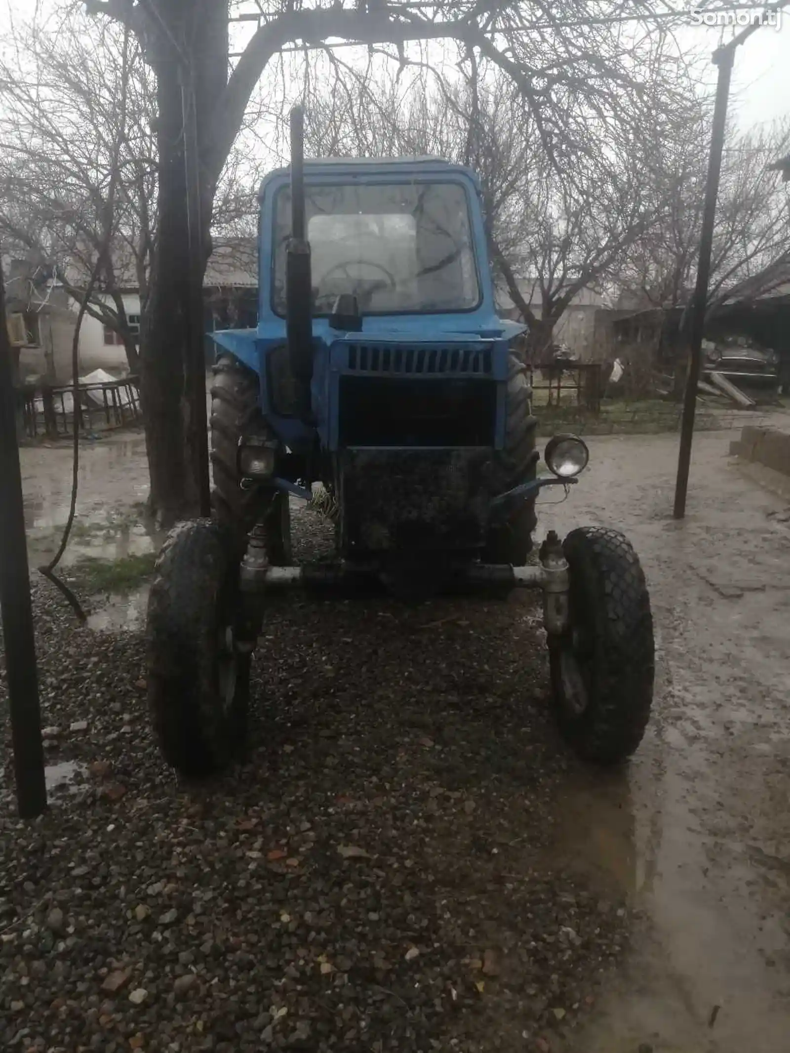 Трактор МТЗ 80-11