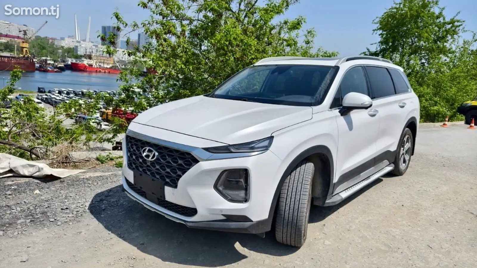 Пороги для Hyundai Santa Fe 2021-1