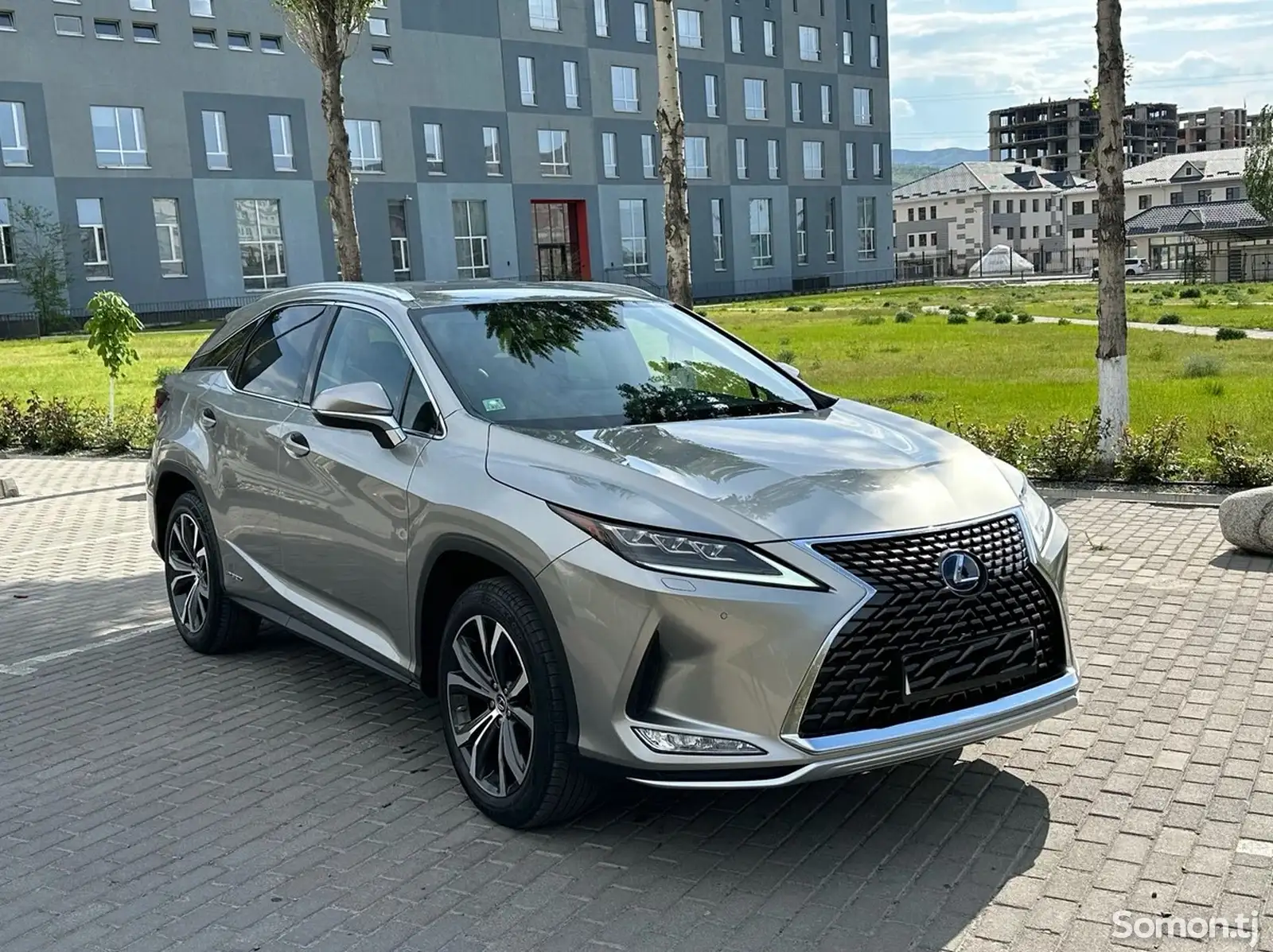 Lexus RX series, 2019-2