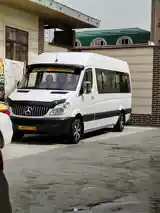 Mercedes-Benz Sprinter,2008-9