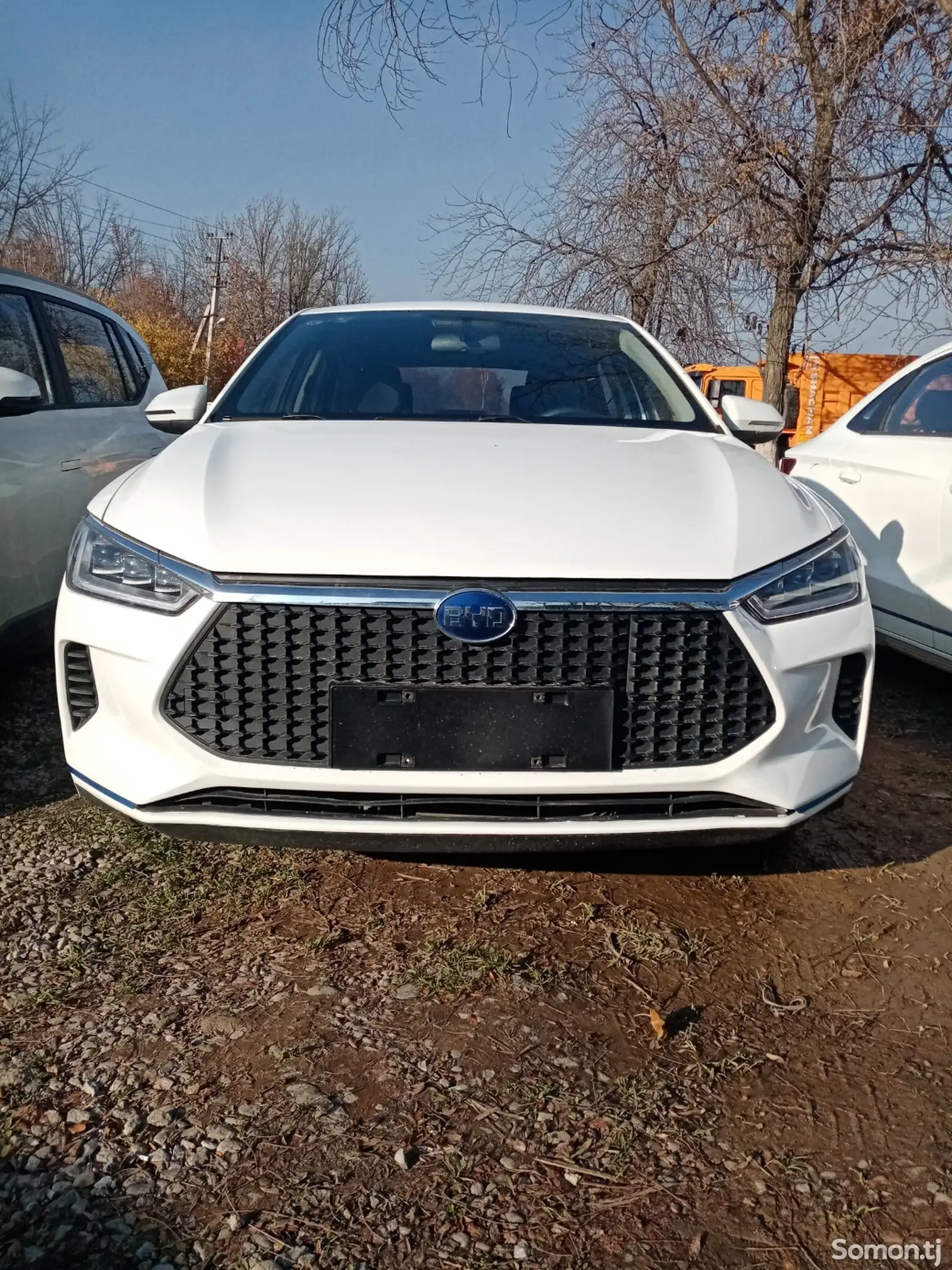 BYD E3, 2020-1