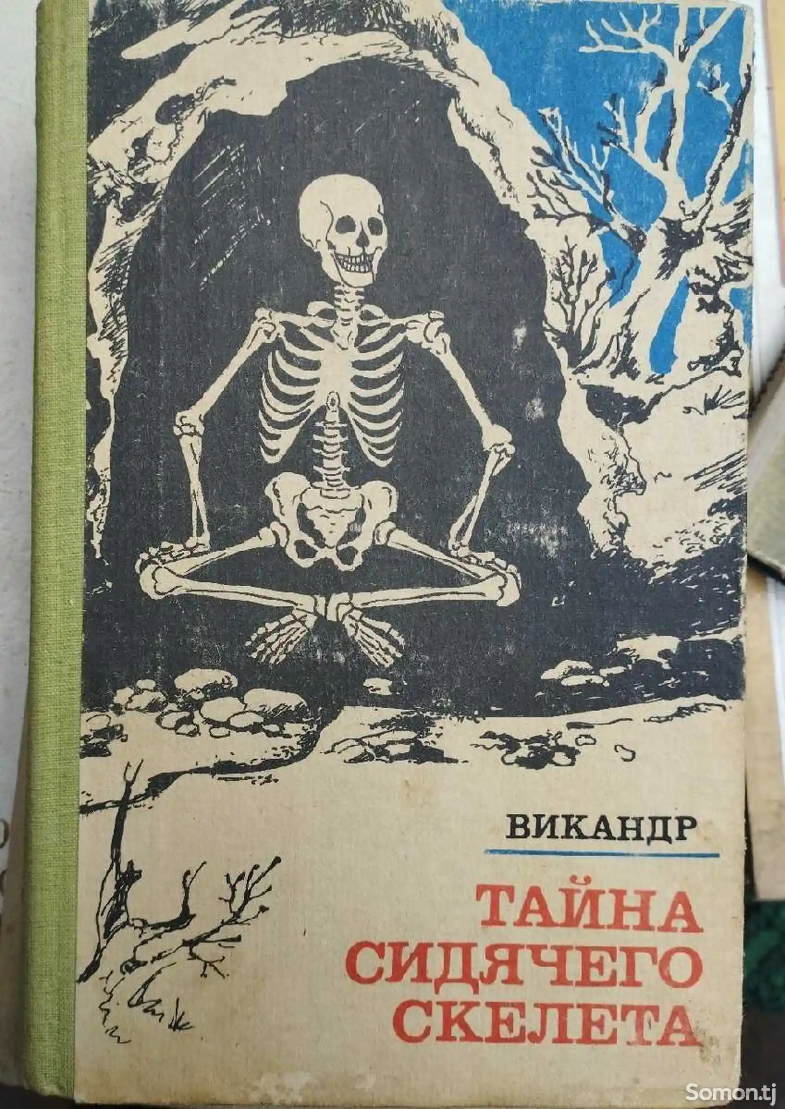 Книга Тайна сидячего скелета