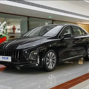 Hongqi E-QM5, 2024