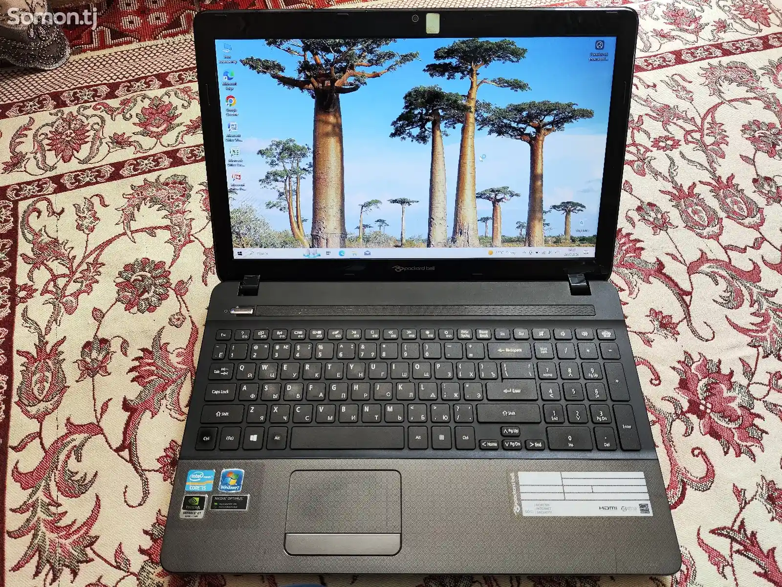 Ноутбук Packard Bell Ts11Hr-1