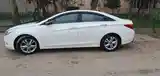 Hyundai Sonata, 2010-6