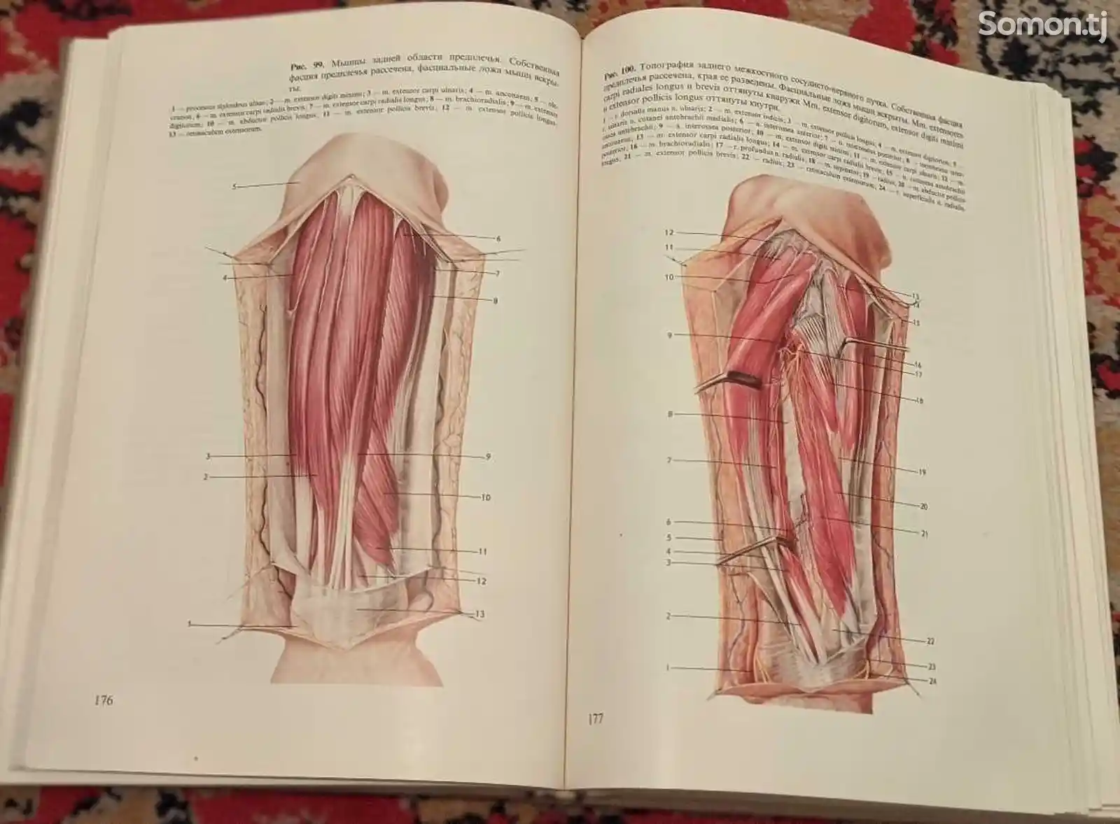 Книга Хирургическая анатомия конечностей человека-4