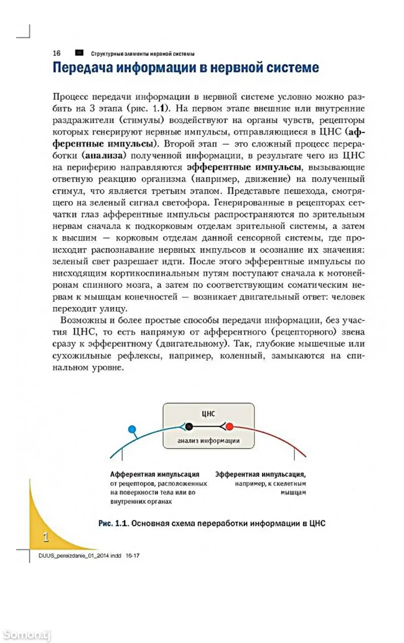 Книга Топический диагноз в неврологии по Петеру Дуусу-5