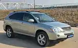 Lexus RX series, 2008-5