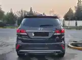 Hyundai Santa Fe, 2017-4