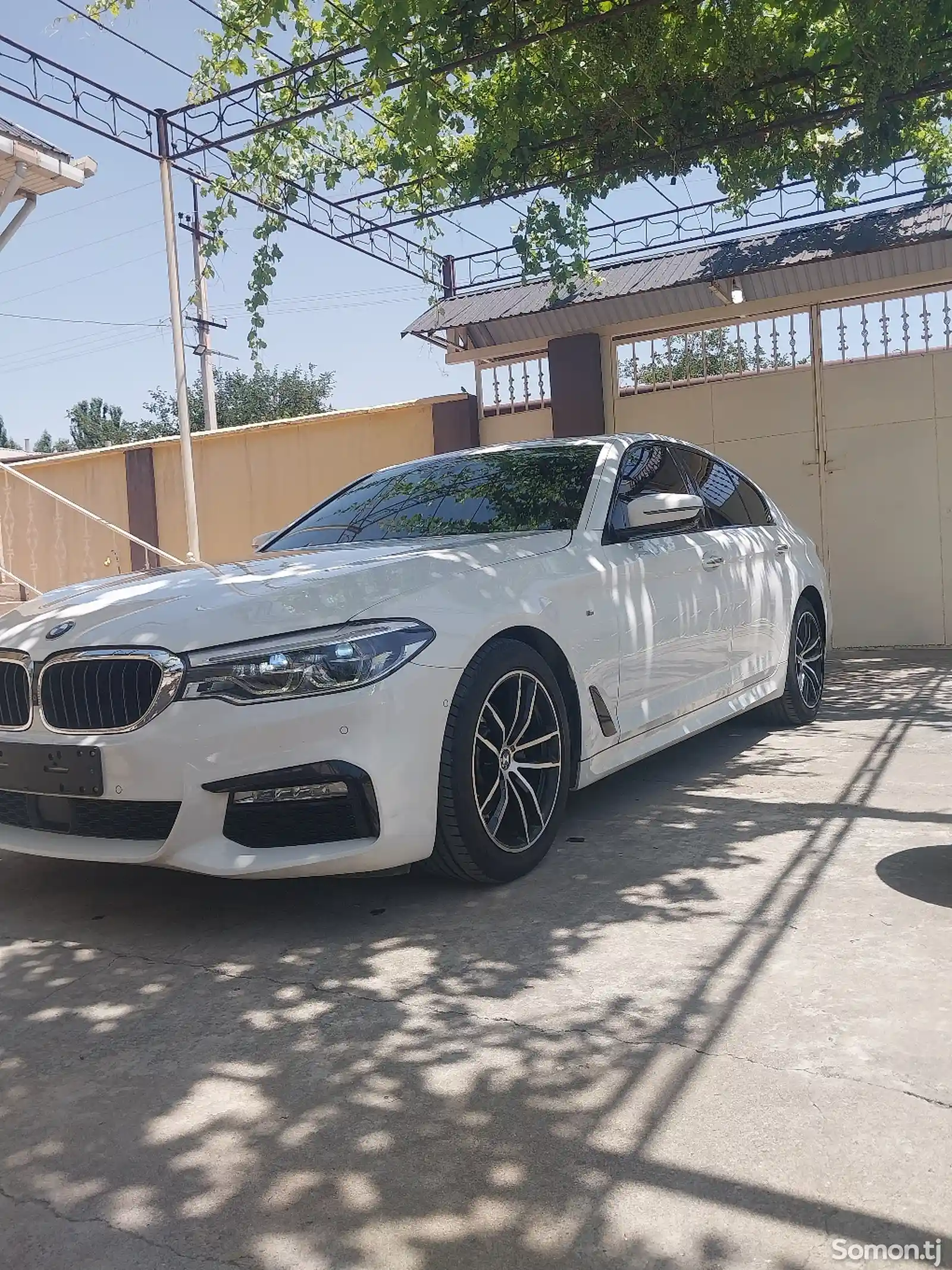 BMW M5, 2017-3