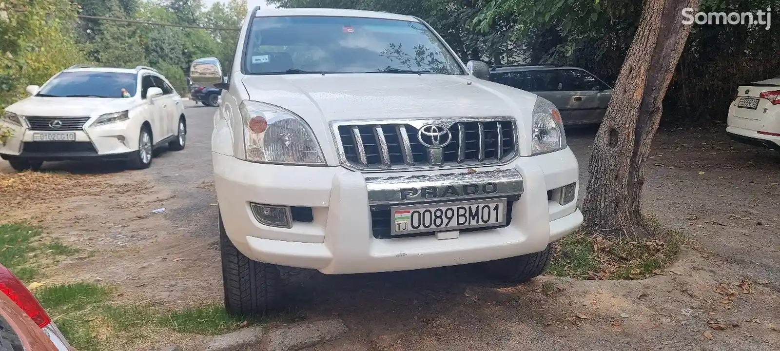 Toyota Land Cruiser Prado, 2007-6