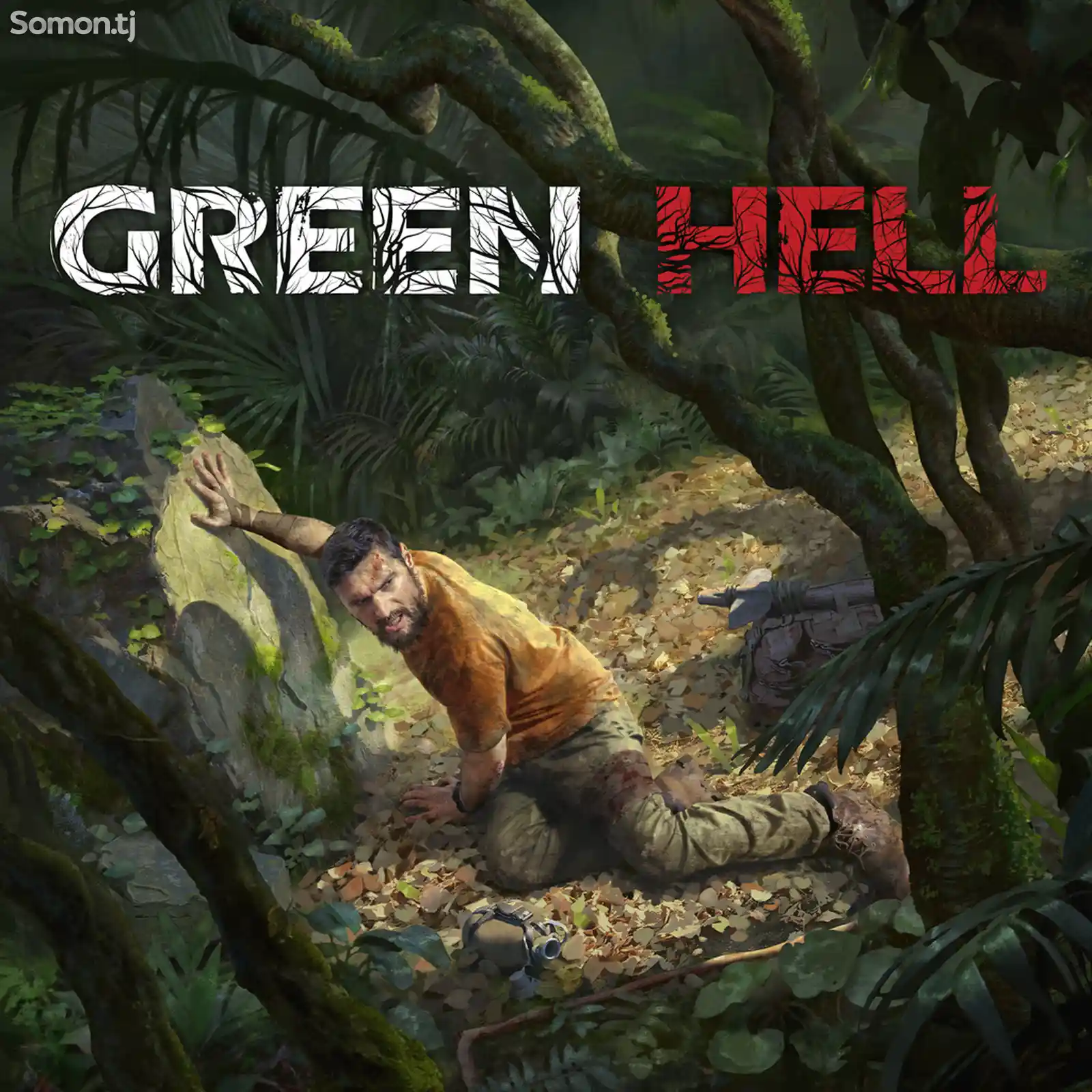 Игра Green hell для PS-4 / 5.05 / 6.72 / 7.02 / 7.55 / 9.00 /-1